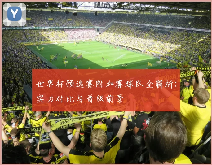 世界杯预选赛附加赛球队全解析:实力对比与晋级前景