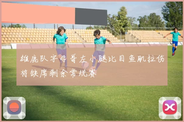 雄鹿队字母哥左小腿比目鱼肌拉伤将缺席剩余常规赛