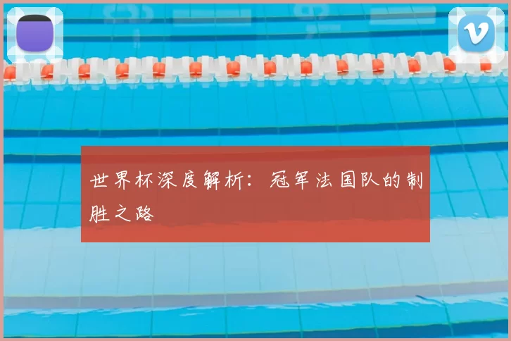 世界杯深度解析:冠军法国队的制胜之路
