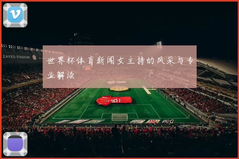 世界杯体育新闻女主持的风采与专业解读