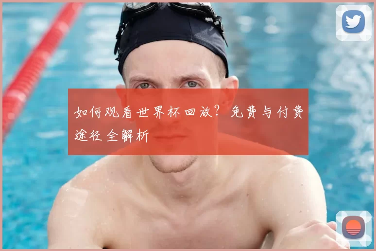 如何观看世界杯回放?免费与付费途径全解析