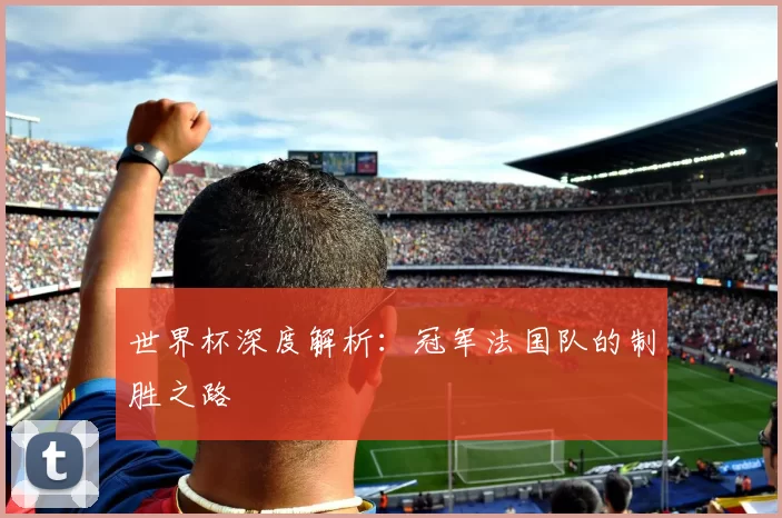 世界杯深度解析:冠军法国队的制胜之路